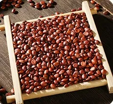jujube seed