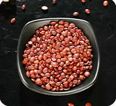 What is Jujube Extract?
