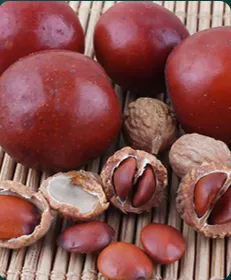 jujube seed extract