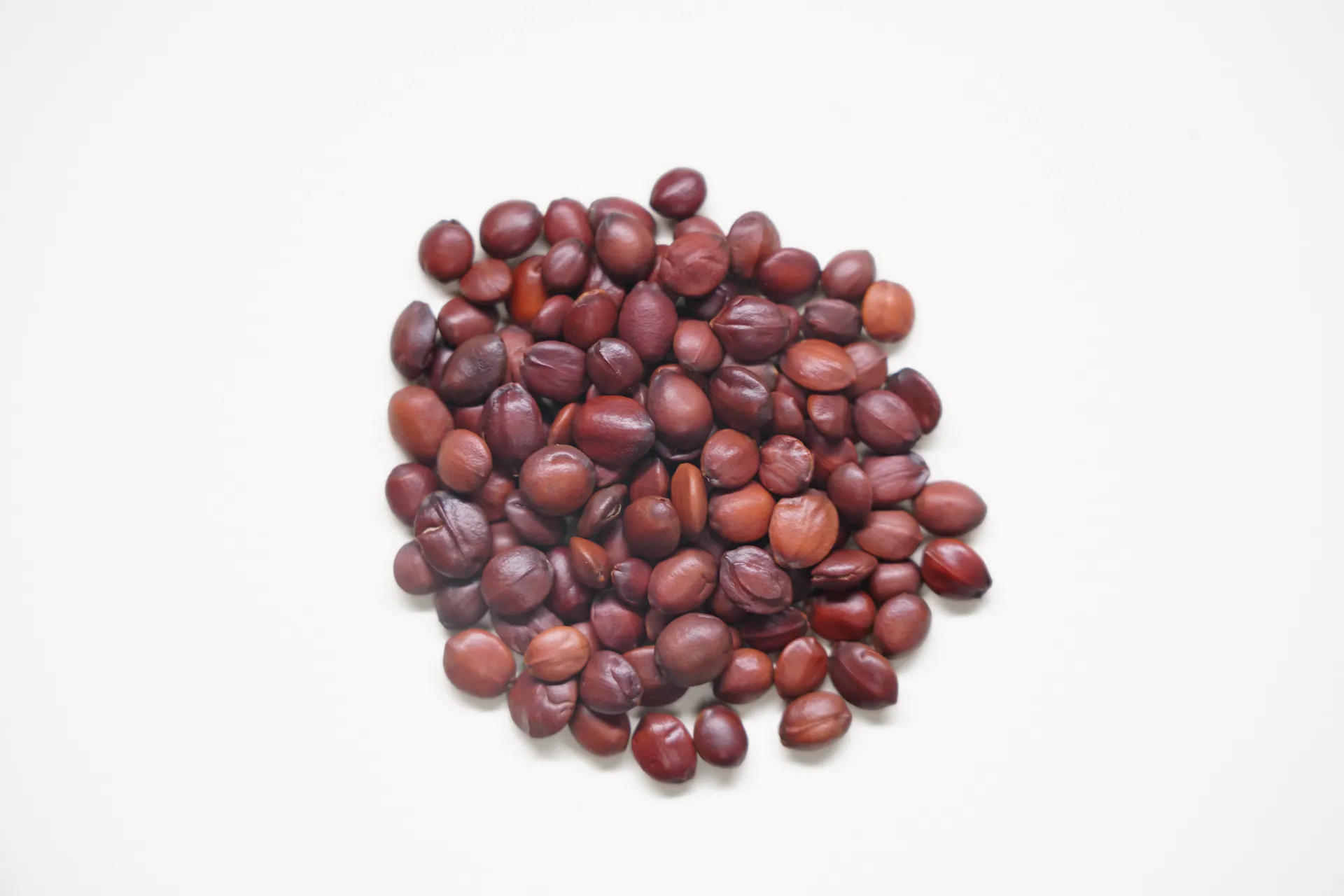 Discover the Wonders of Herbal Foot Bags: An Incredible Detox for Every Home